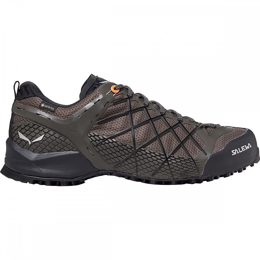 photo: Salewa Men's Wildfire GTX approach shoe