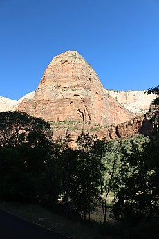 IMG_7291.jpg