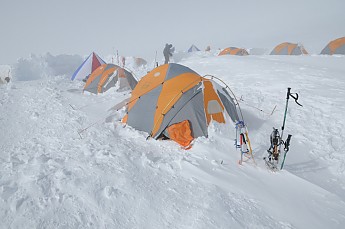 DSC_0092.jpg