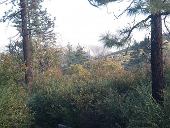 PB130089.jpg