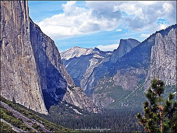 IMG_2768v1.jpg
