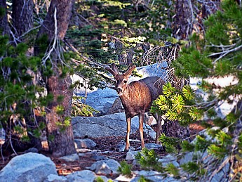 IMG_3003v1.jpg