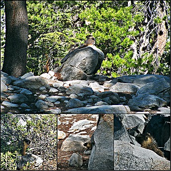 2014yosemite-12.jpg