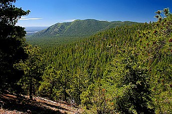 Mt-Elden-from-the-Pipeline-Road.jpg
