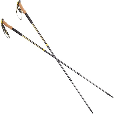 photo of a antishock trekking pole