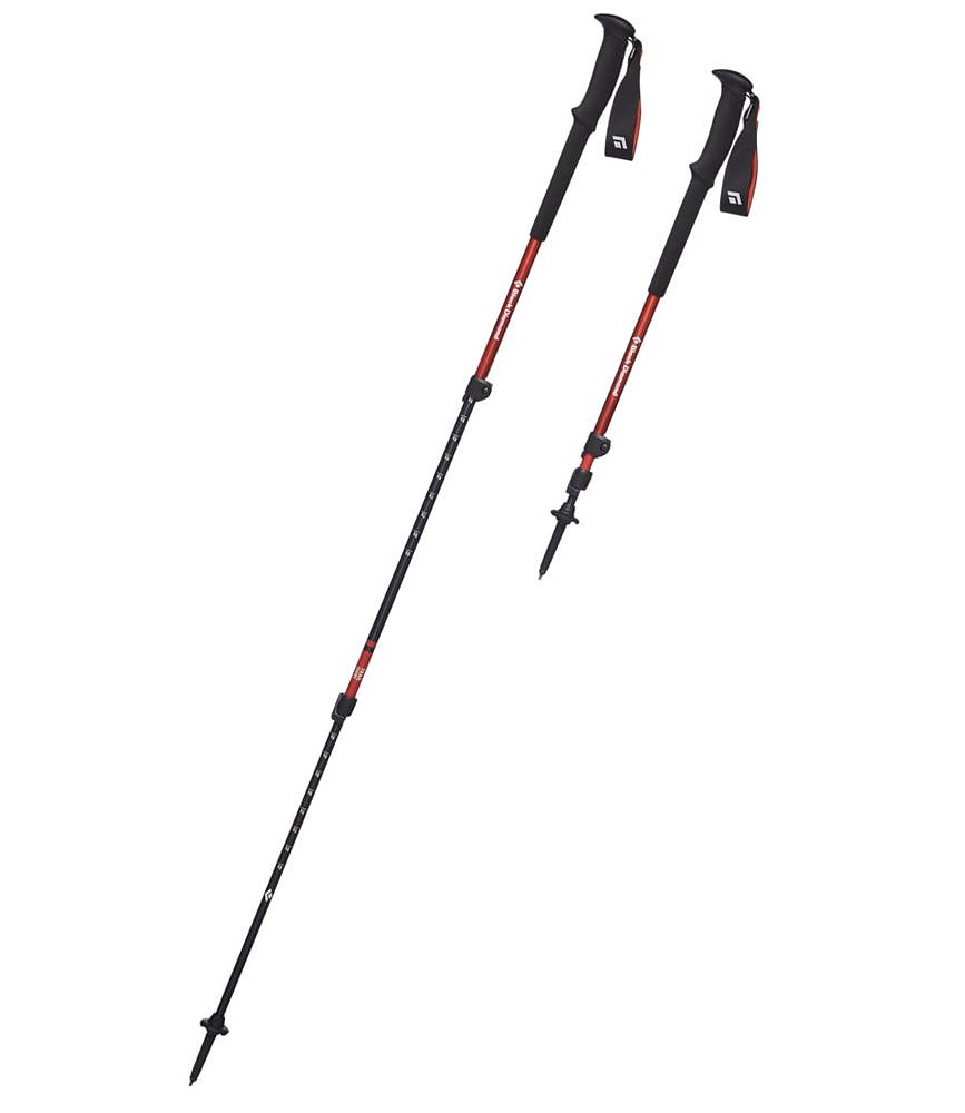 photo: Black Diamond Trail rigid trekking pole