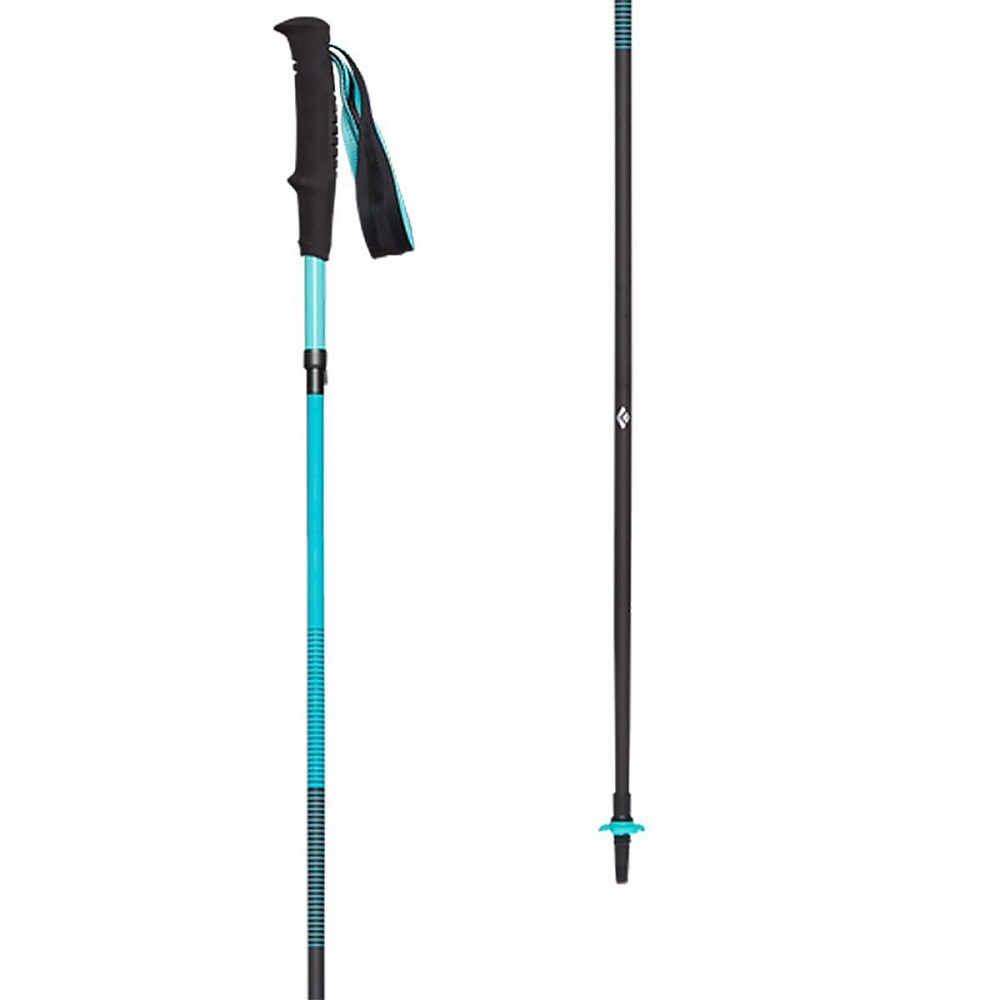 photo: Black Diamond Women's Distance Carbon Z rigid trekking pole