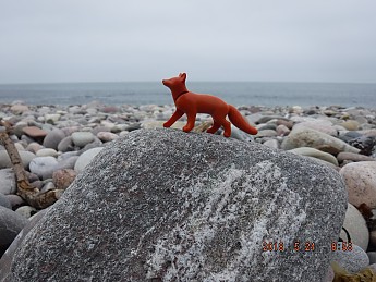 DSCF1501.jpg