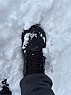 photo: Salomon Men's Toundra Pro CSWP