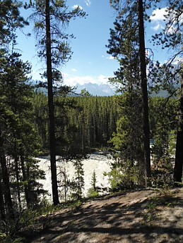 DSC02594.jpg