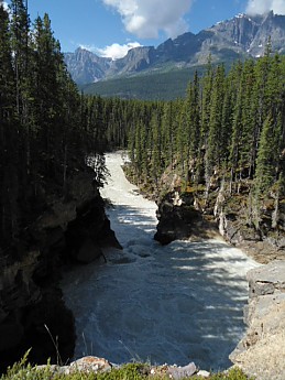 DSC02605.jpg