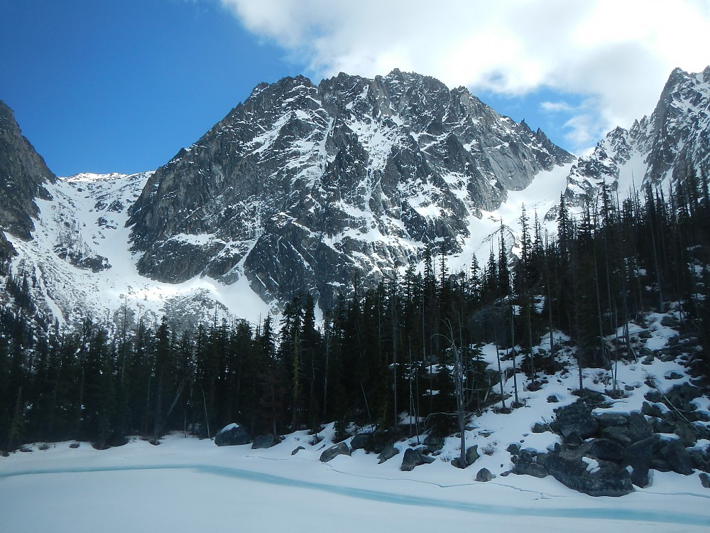 Petzl Leopard FL Reviews Trailspace