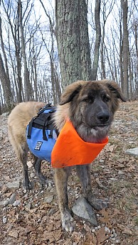 IMG_4499.jpg