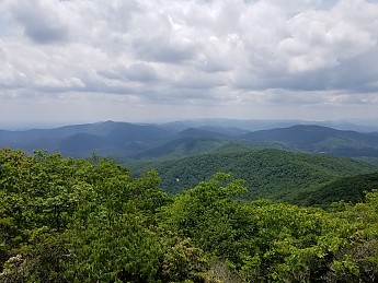 20190601_135712.jpg