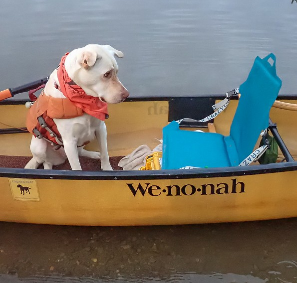 2025canoe135-4-canoe-chair-8060014.jpg