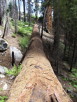 IMG_6490.jpg