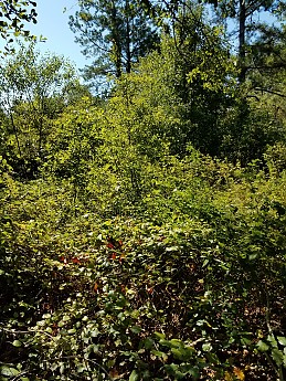 20190730_103925.jpg