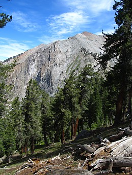 IMG_6465.jpg