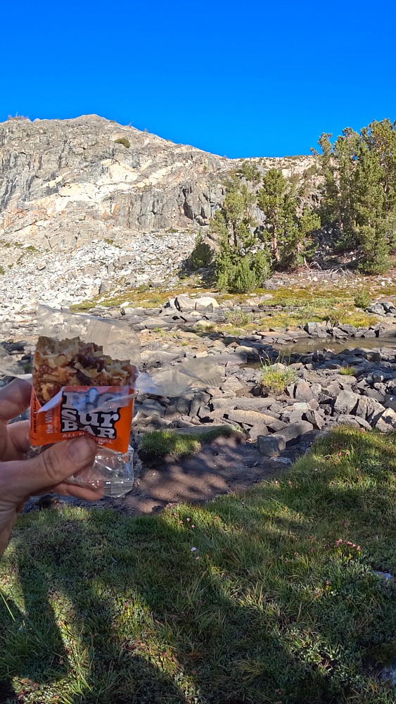 photo: Big Sur Bar  nutrition bar