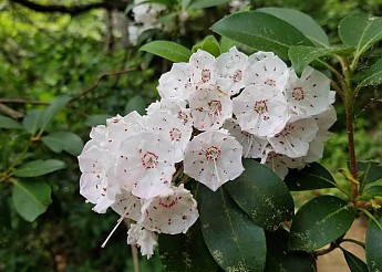 20190601_114030---Copy.jpg