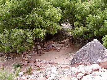 Horn-Creek-Camp-GCNP.jpg