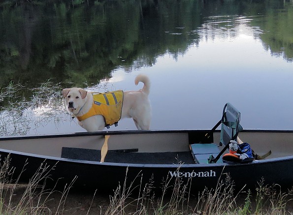 Sit Backer Canoe Seat