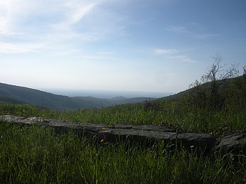 DSCN2692.jpg