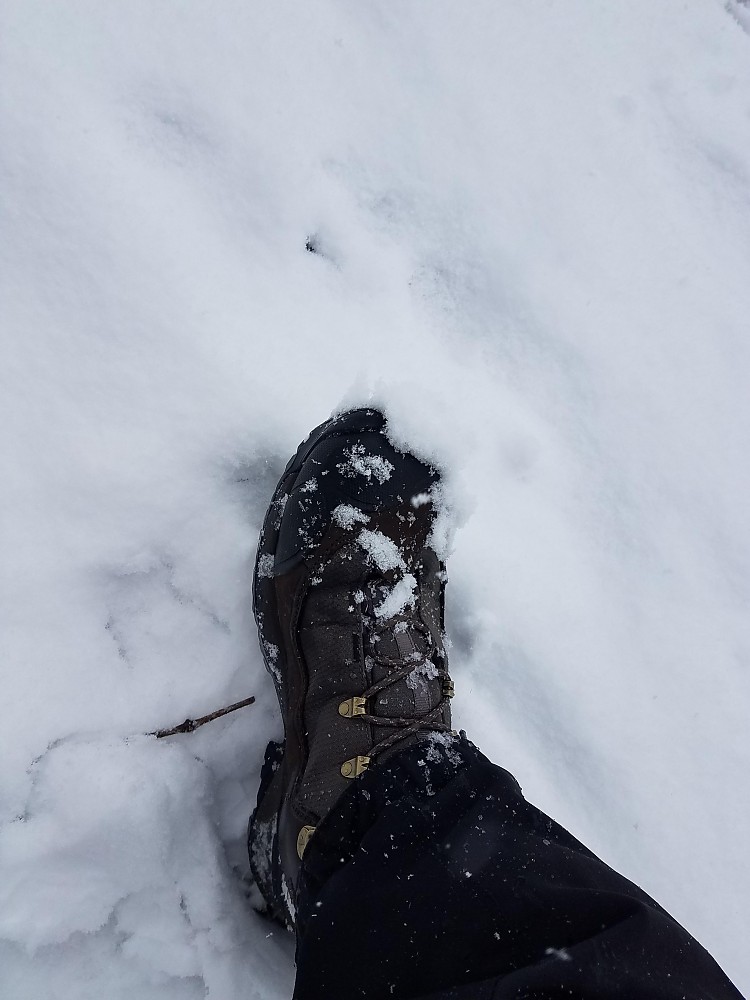 oboz wind river iii review