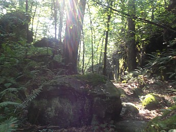 100_1177.jpg