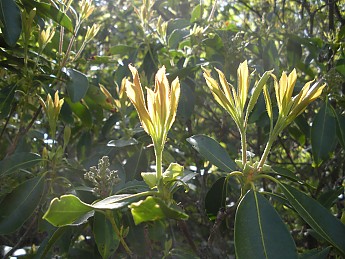 DSCN2704.jpg