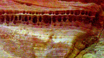 Parunuweap-canyon-13.jpg