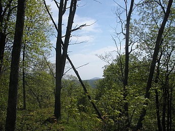 DSCN2708.jpg