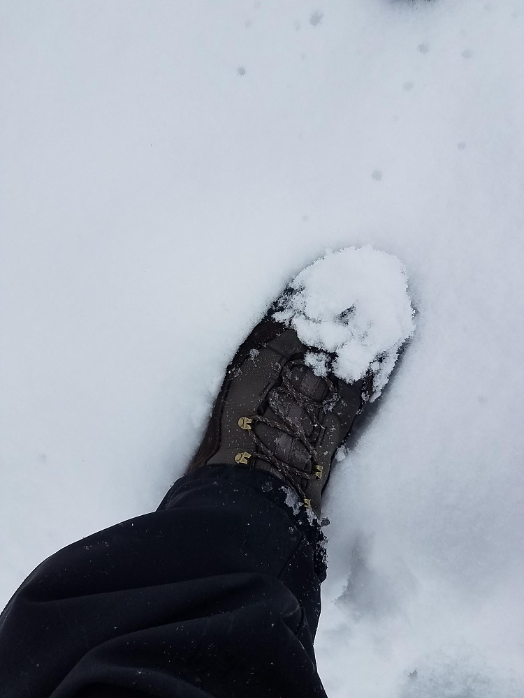 oboz wind river iii review