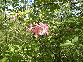 DSCN2709.jpg
