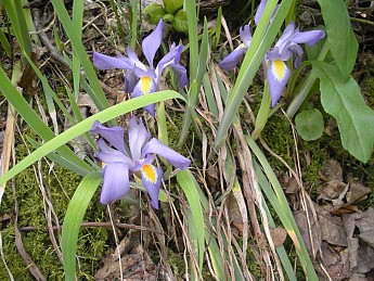 DSCN2716.jpg