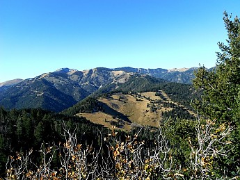 WM-Wilderness-2.jpg
