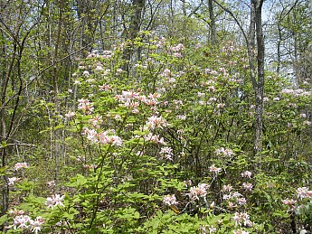 DSCN2717.jpg