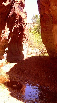 Mineral-canyon-7.jpg