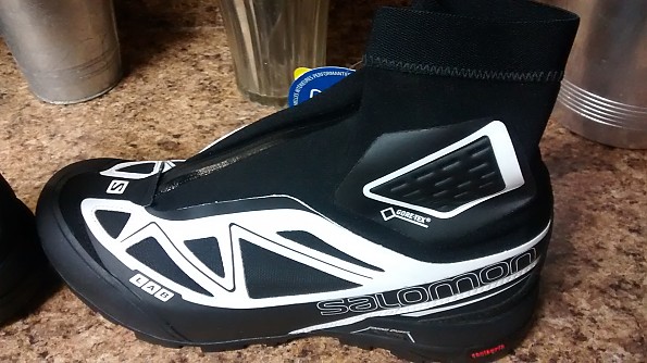 salomon carbon 2 gtx