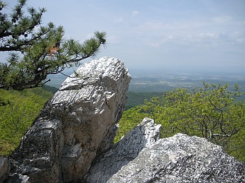 DSCN2719.jpg