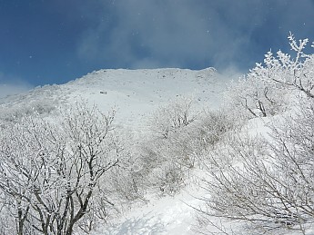 DSCN2027.jpg