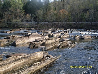 SDC10305.jpg