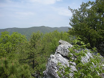DSCN2721.jpg