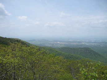 DSCN2723.jpg