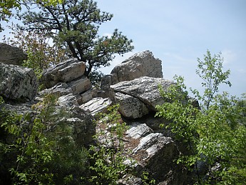 DSCN2728.jpg
