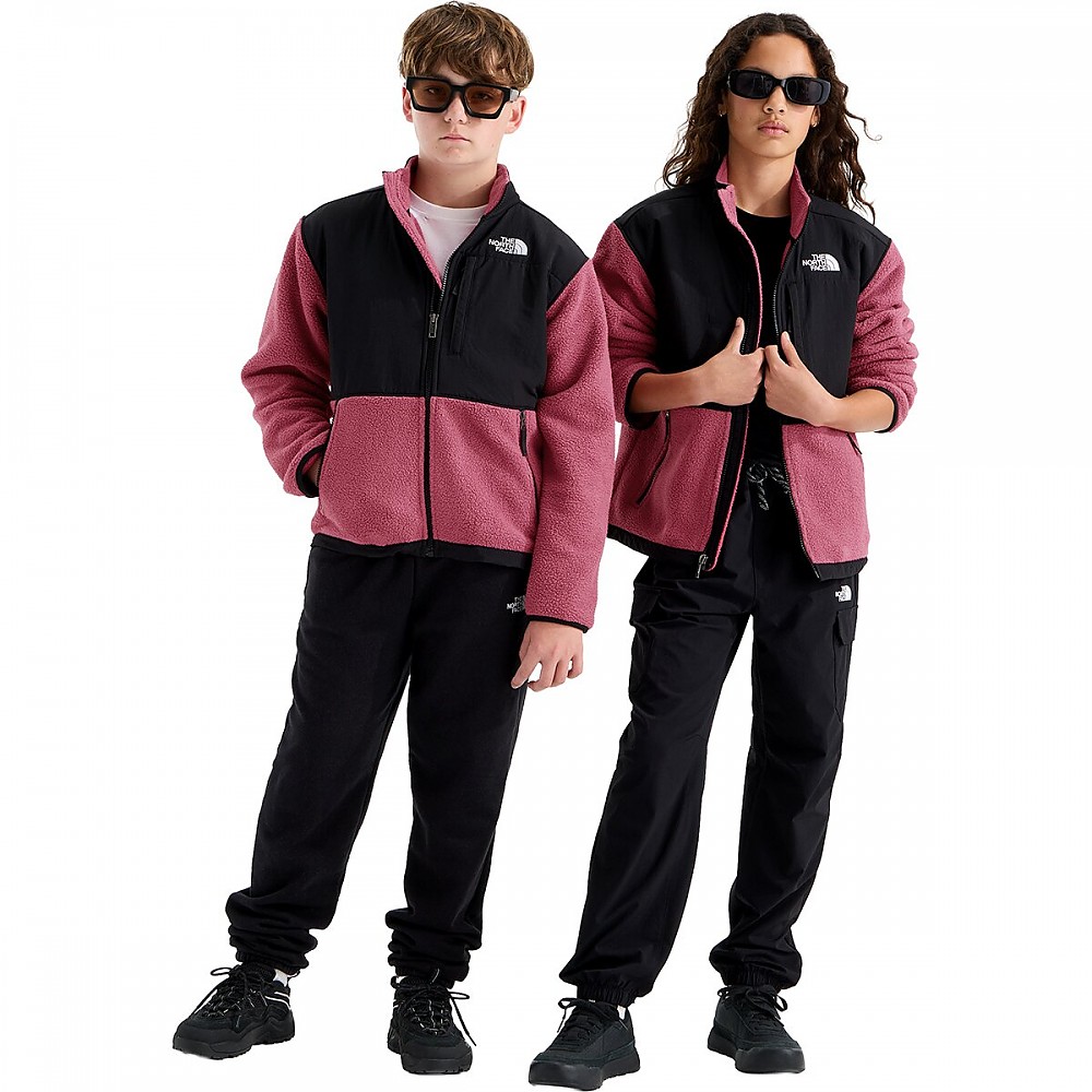 photo: The North Face Men's Denali Jacket fleece jacket