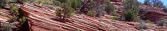 Parunuweap-canyon-4.jpg