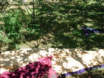 DSC04487.jpg