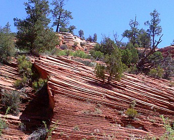 Parunuweap-canyon-5.jpg