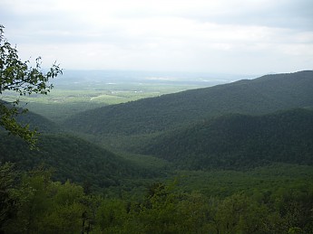DSCN2735.jpg